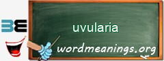 WordMeaning blackboard for uvularia